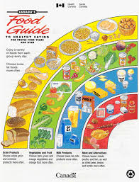 Grade 7 Healthy Food Pyramid Lessons Tes Teach
