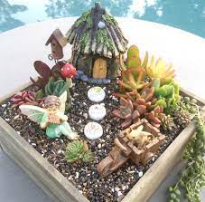 Diy Succulent Fairy Garden Gift Kit