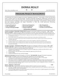 Technical Project Manager Job Description Sample Portfolio Shalomhou
