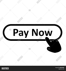 Also can be used for mobile apps, software, developers. Pay Now Icon On White Image Photo Free Trial Bigstock