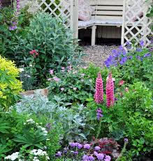 best perennials for your garden