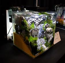 For many beginner aquascapers there are very real constraints on space and budget. Aquascape Zone Information Aquascape Nano Aquarium