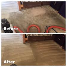 pet carpet cleaning