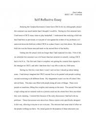  essay example reflective introduction reflection personal thesis 001 examples of self reflection essay essays introduction reflective ejhet unbelievable practice personal large