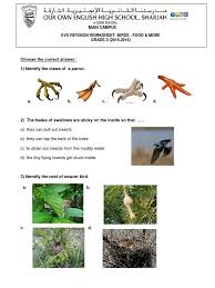स्कूल पर निबंध (my school essay in hindi) Grade3 Evs Birds Food And More Revision Worksheet