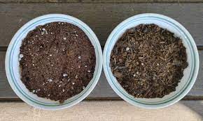 Seed Starting Mix Vs Potting Soil