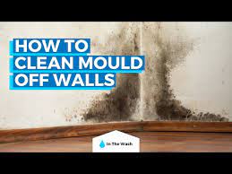 How To Clean Mould From Walls Vinegar