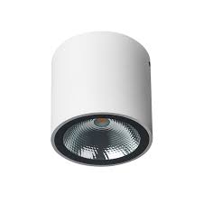 White Surface Mounted Ceiling Lamp For