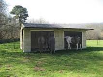 how-big-should-a-field-shelter-be-for-2-horses
