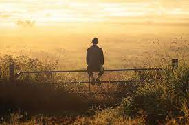 Finding Peace in Nature: MMM Exclusive Interview with Elizabeth Gadd