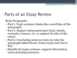 How to Write a Persuasive Essay  with Free Sample Essay  GAM Import Export GmbH