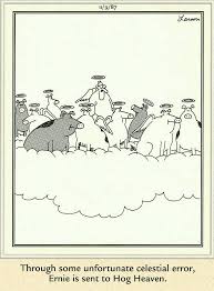 Winds blow sand all around, so a camel has long eyelashes. The Far Side Comic Strip Tv Tropes