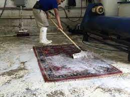 area oriental rug cleaning jupiter
