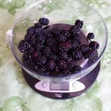 blackberries and nutrition facts