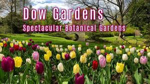 dow gardens michigan epic botanical