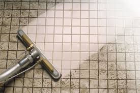 how do professionals clean tile grout