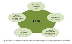 Overview Of Ehr Systems In Bric Nations