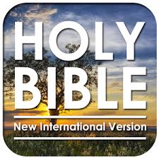 Bible.is is an app that allows you to access and enjoy the bible in more than eight hundred different one of the most interesting thing about bible.is is that it allows you to watch the 61 video segments of. Free Offline Audio Niv Bible Download For Android Clevermontreal