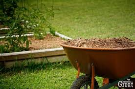 Mulches To Use In The Vegetable Garden