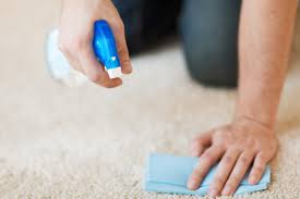 how to get musty smell out of carpet