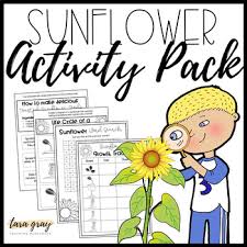 Children will color all the flowers. Sunflower Life Cycle Worksheets Teaching Resources Tpt