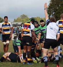 whanganui club rugby border top of