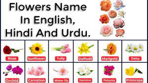 flowers name in english hindi urdu