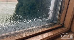 Prevent Mold Growth On Window Sills