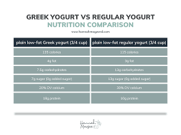 greek yogurt vs regular yogurt a