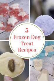 6 easy frozen dog treat recipes