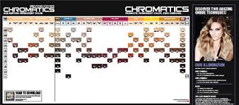 Redken Chromatics Shade Chart And Instructions 1 1 Dev