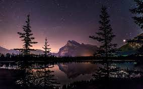Winter Starry Sky over Lake Night ...