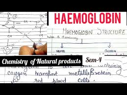 haemoglobin structure of haemoglobin