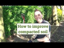 How To Loosen Improve Compacted Soil