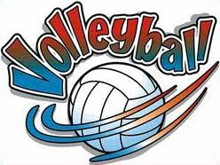 Image result for volleyball images
