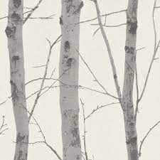 Birch Trees Wallpaper Cream Grey