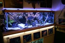 Cichlid Forum Can Someone Help Me Choose A Great Led Fixture For Frontosas