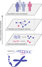 Dna consists of four different sugars that interact. Genetics Piece Of The Pi Inferring The Origin Of Complex Traits And Diseases From Proteome Wide Protein Protein Interaction Dynamics Gauthier 2020 Bioessays Wiley Online Library