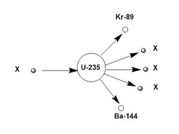 Diagram Shows An Atom Of Uranium 235