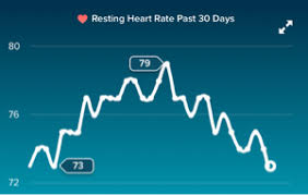Resting Heart Rate During Pregnancy March 2018 Babies