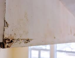 Getting Rid Of Mold On Drywall