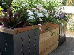 Plants Into A Raised Bed With M Brace