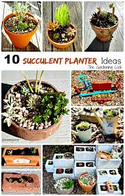 Rustic Succulent Planters These