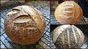 gluten free sourdough bread breadtopia