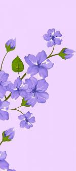 hd bright blue flowers wallpapers peakpx