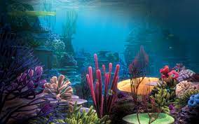 Underwater Scenes Desktop Wallpaper on ...