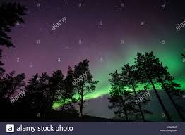 Northern Lights Aurora Borealis Over Lapland Forest