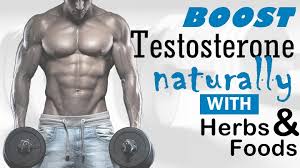 foods herbs to boost testosterone