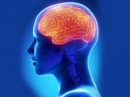 Энцефалопатия — это обобщающее название разнообразных по своему генезу патологических процессов, основу которых составляет дегенерация нейронов головного мозга вследствие. Encefalopatiya