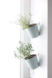 Plant A Vertical Garden